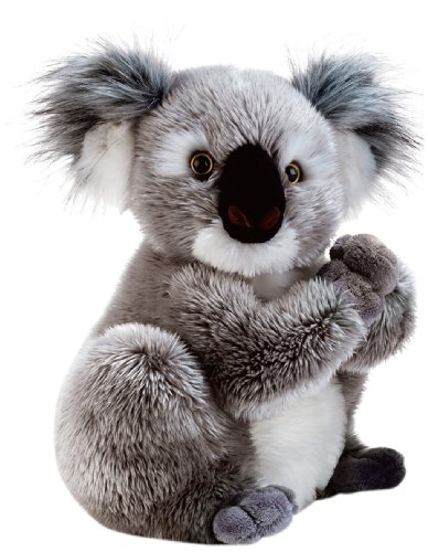 Plush&Company Nounours 05932 Koline - Koala de Peluche (22 cm)